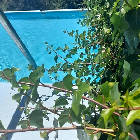 Charming House In The Countryside * São Bartolomeu