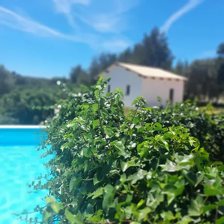 Charming House In The Countryside Feriehus São Bartolomeu